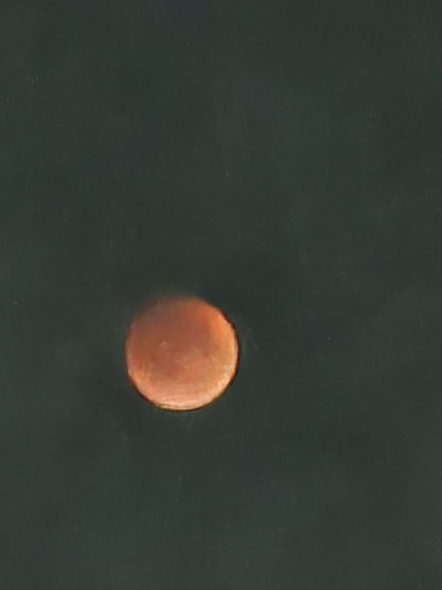 #LunarEclipse2025  shot on #galaxys25ultra