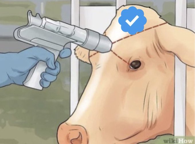 HangryBrainWorm tweet media