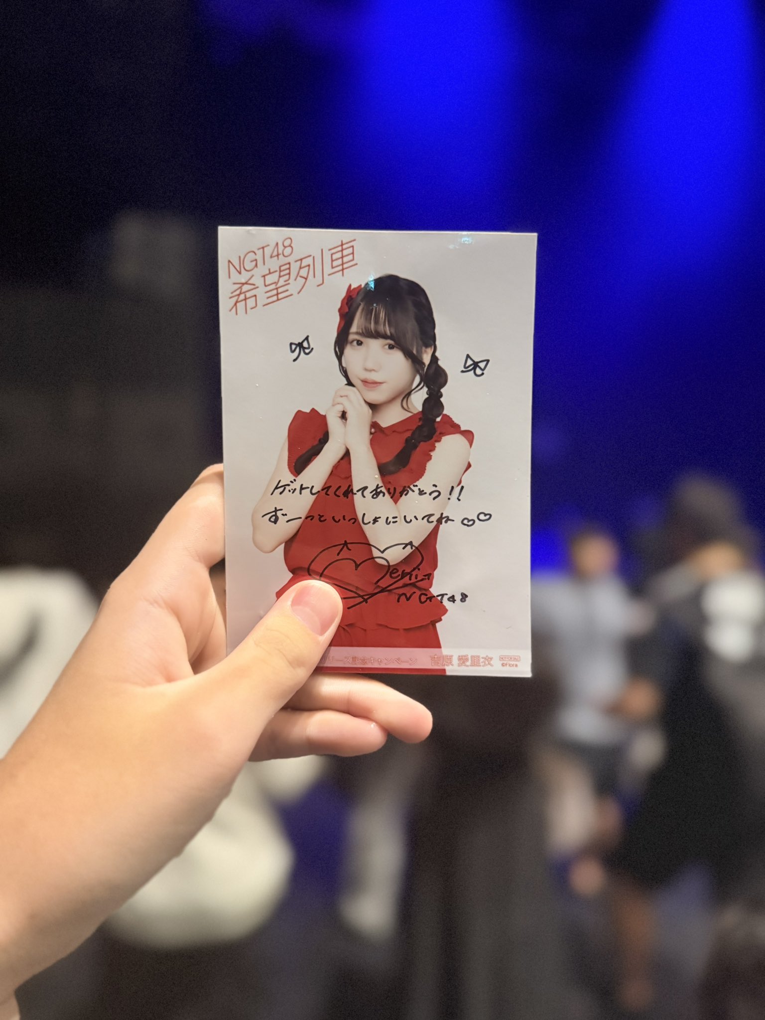 よっしー on X: 