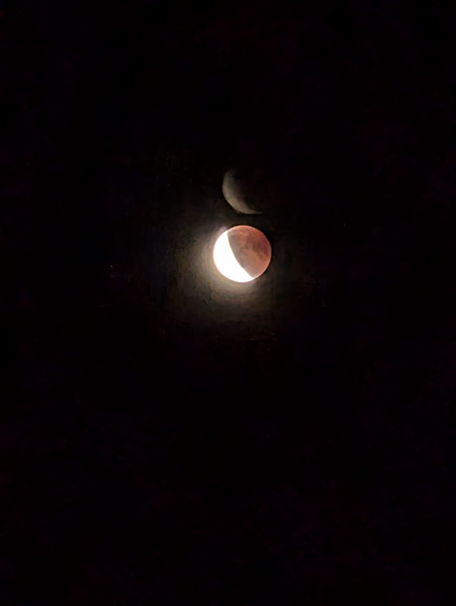 biteurskin's tweet image. #mooneclipse