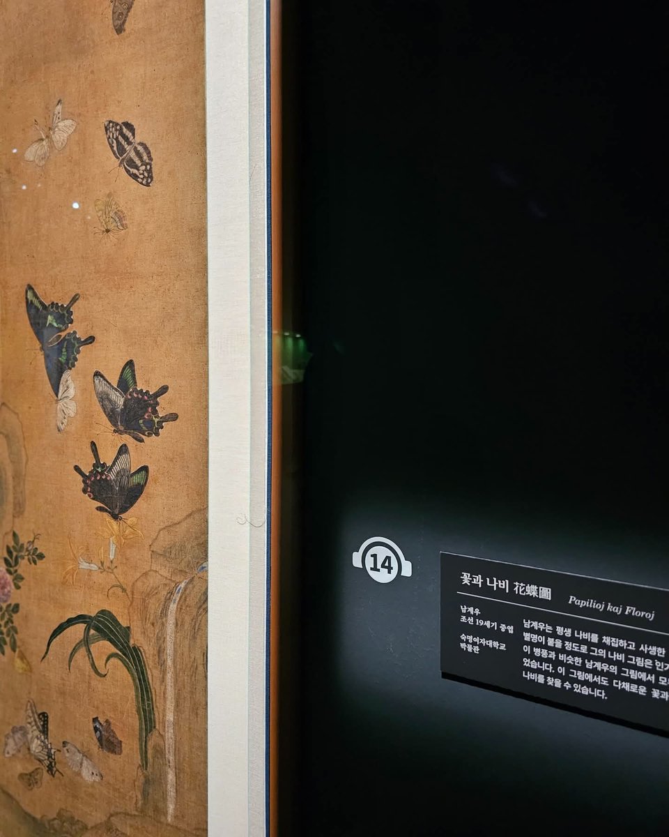 두 대가의 만남

세계에 자랑할 만한 나비 그림을 남긴 조선의 서화가 남계우(1811~1890),
남계우의 그림에서 37종의 나비를 판별해 낸 생물학자 석주명(1908~1950).
백 년을 사이에 둔 두 대가는 나비 그림을 통해 마주했습니다.

#국립제주박물관 #특별전 #제주에나빌레라