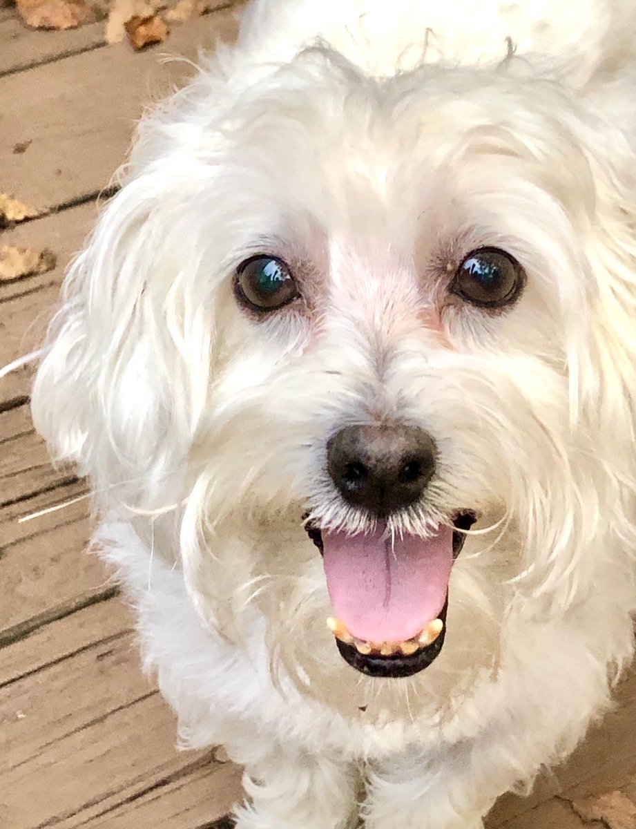 becky ernstberger tweet media