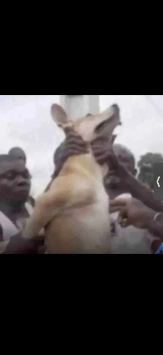 Continue pressing comrade,your efforts will be rewarded in due time 😂🔥🔥🔥🔥🔥