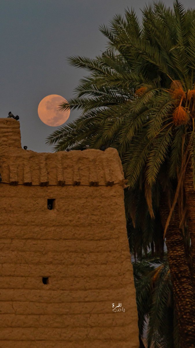 LookYami's tweet image. #نجران
صباح الخير 
اقدم لكم تصوير للقمر لحظه غروبه مع الفجر بسماء نجران مع الطبيعه وبيوت الطين 
#تصويري📸
#نجران_الان 
#صباح_الخير