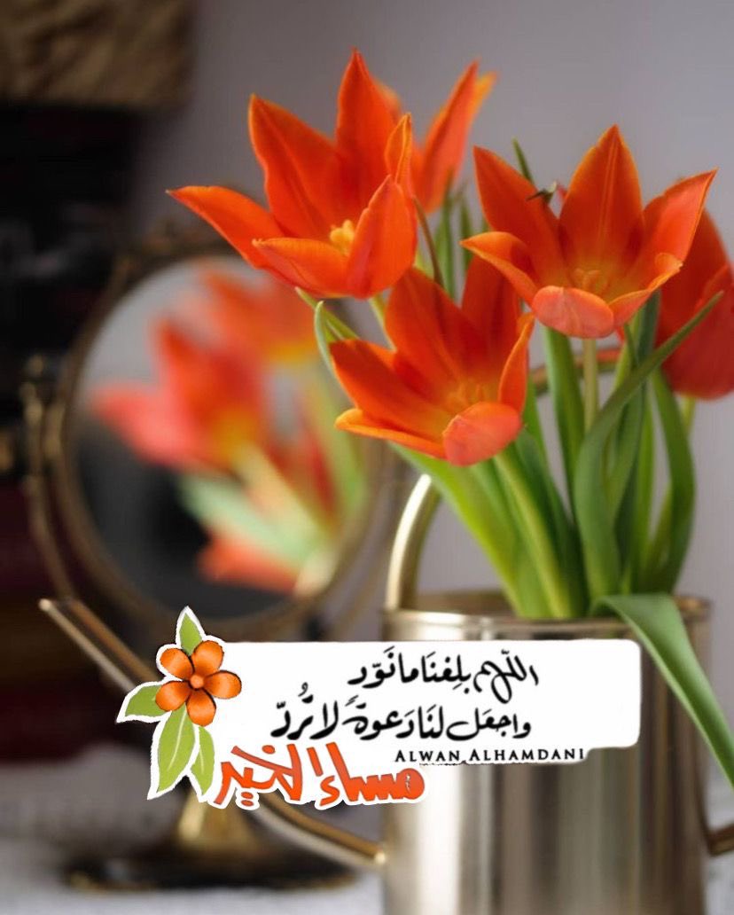 مختار مختارى (@aovhpnr7zbs216x) on Twitter photo 