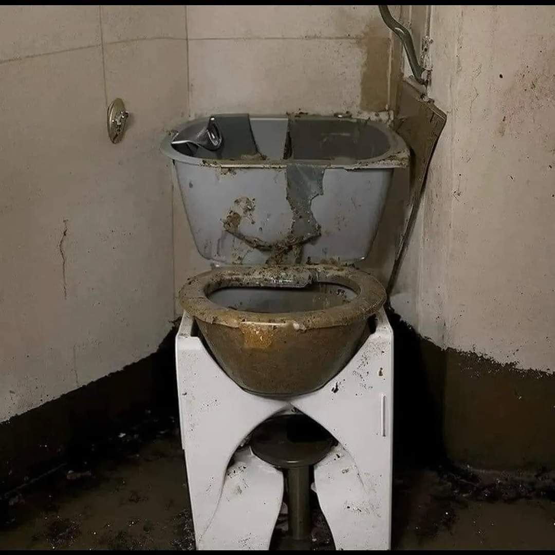 Robi 🇫🇷 🇪🇺 🇺🇦 🇮🇱🇬🇪🇹🇼 tweet media