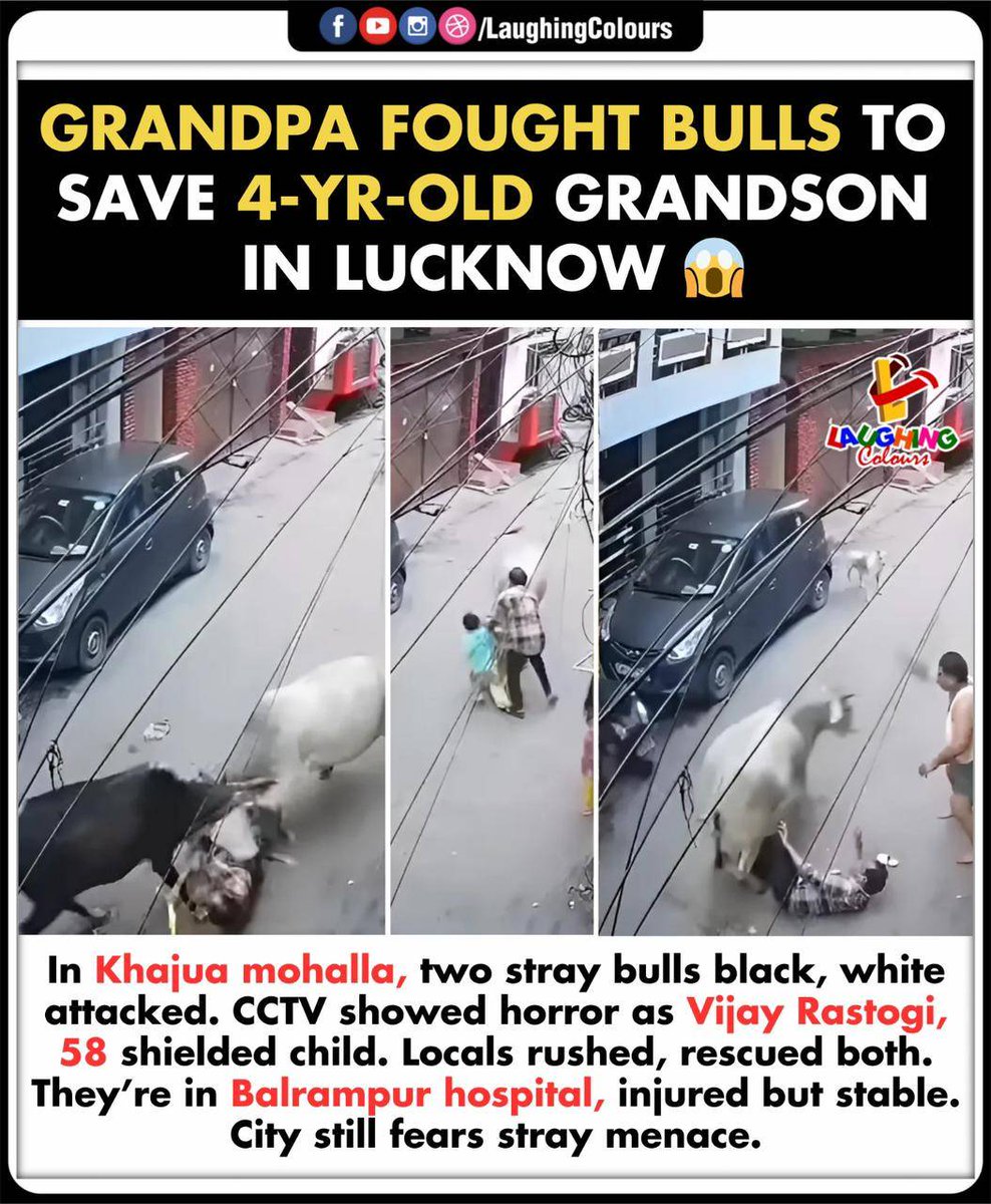 LaughingColours's tweet image. Grandpa saved little hero 😱

#Lucknow #Grandfather #HeroicAct #StrayBulls #ChildSafety #ViralNews