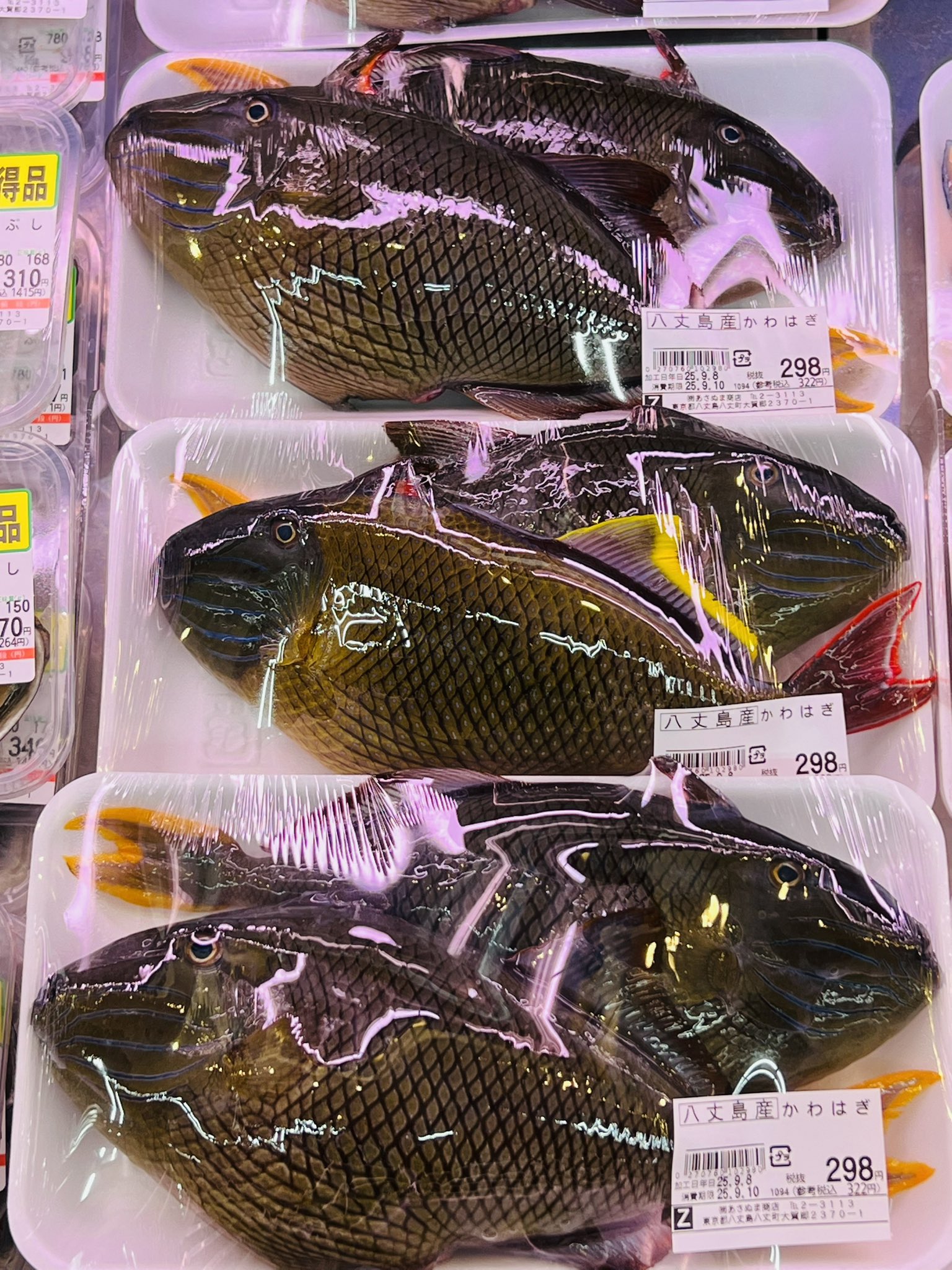 ダイビングセット　12000→7000に値下げしました！ FUNA on X: 