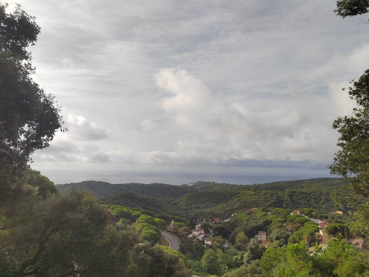 📣 Ahir una trentena de persones vam pujar al Montalt a renovar l'estelada en la seva 18a edició

Una jornada per conèixer el territori i fer el tret de sortida als actes de la diada 2025

Visca la terra! ✊
<a href="/CUPArenysdeMunt/">CUP Arenys de Munt</a> 
#EsteladaMontalt #independència #11S #UnitatPopular