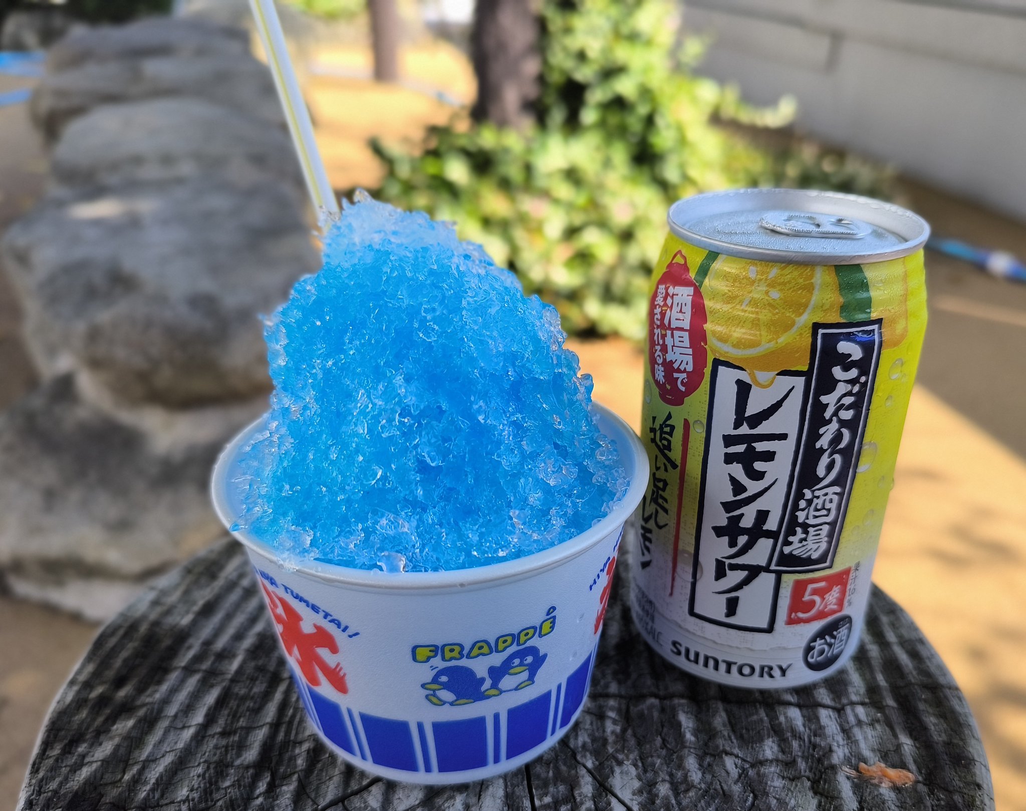 たこまりね on X: 
