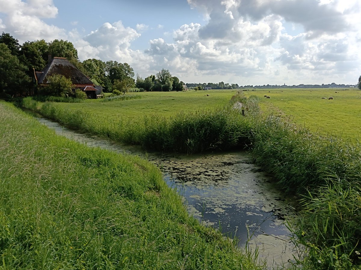 newsfromrob's tweet image. Good morning.

Remember the summer? 😊 It seems far away already.

Have a nice, rainy Monday!

#rain #lotsofrain #AutumnVibes #MondayMotivation