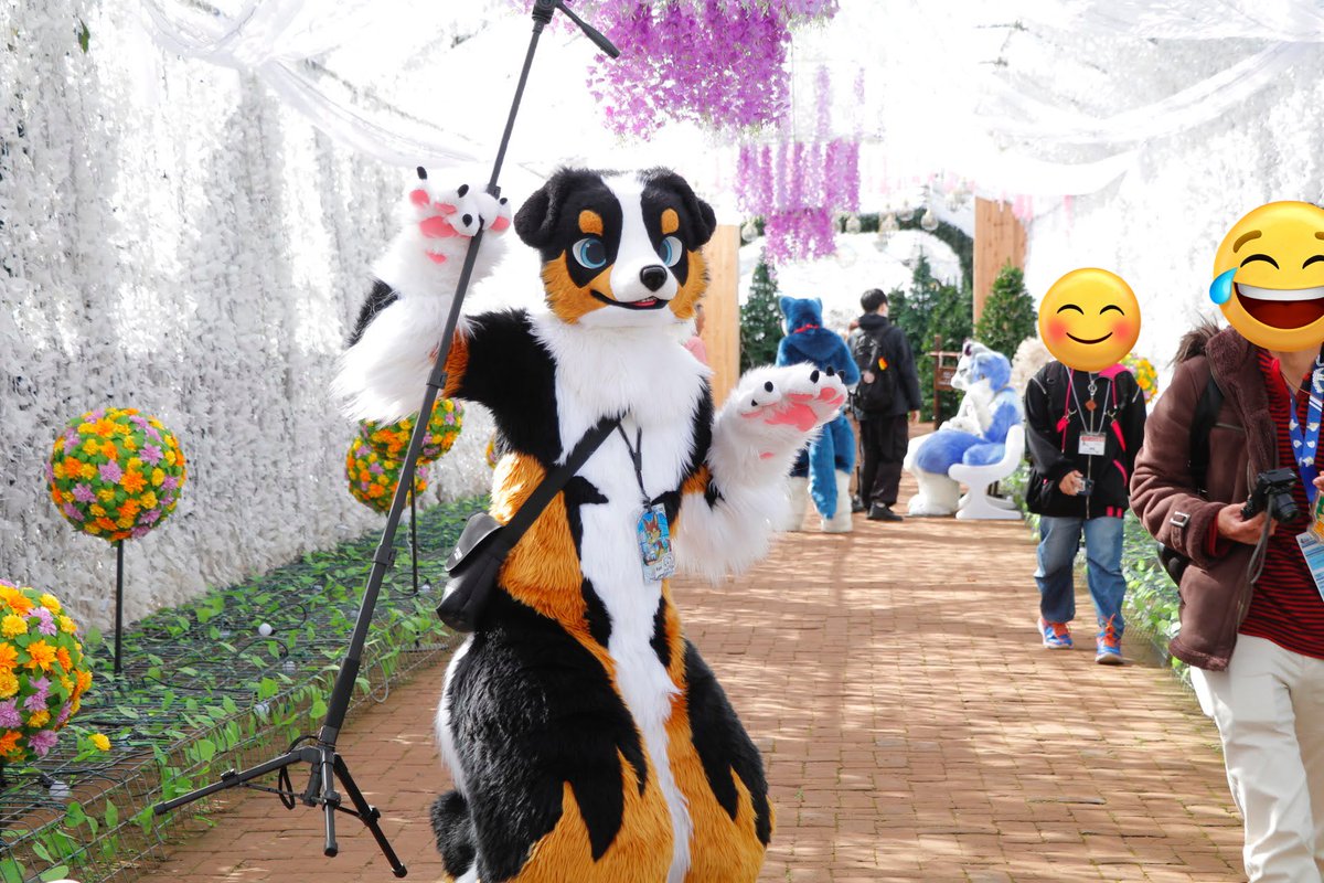 #ケモノをみて今週もがんばりマンデー
Awooo~！