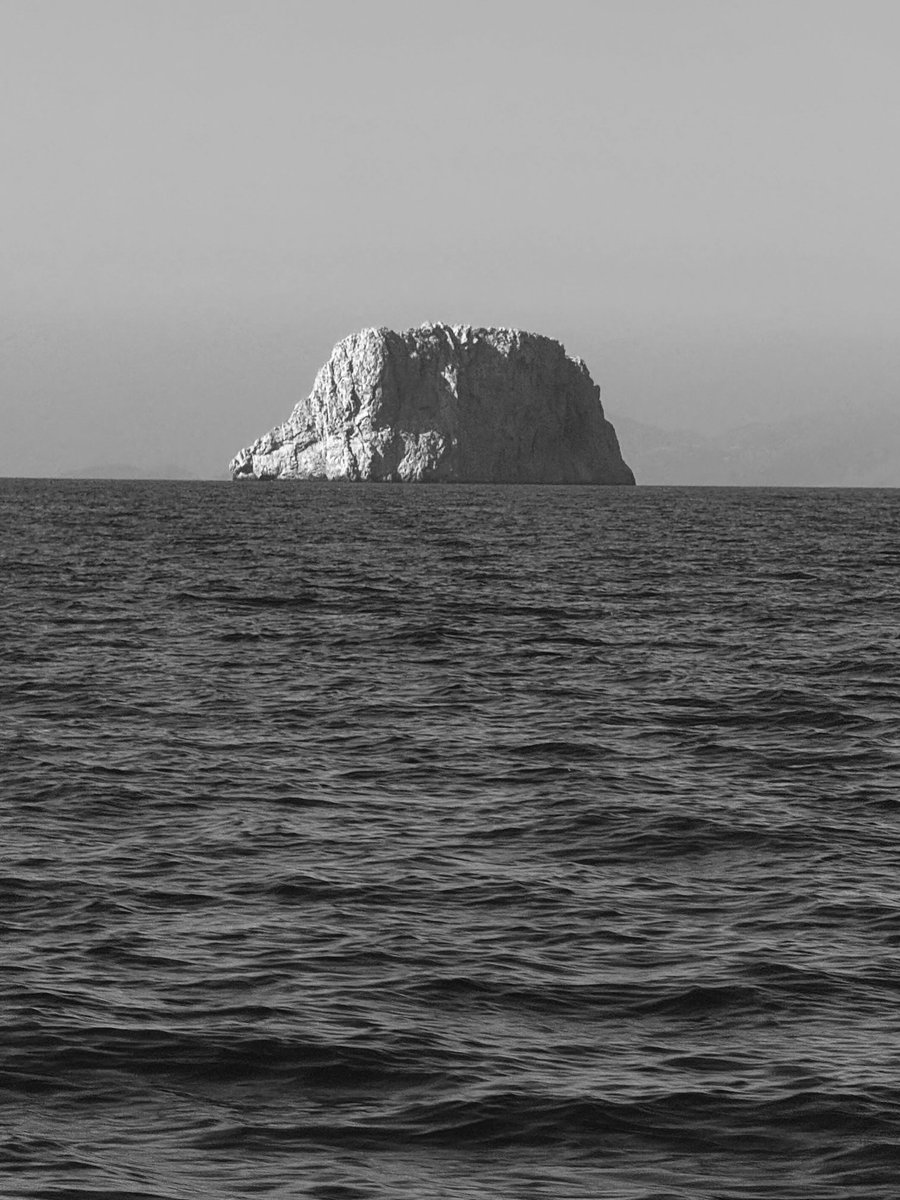 sunflower (@chr90688) on Twitter photo 