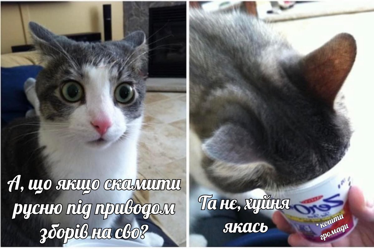 Jean-Baptiste Emanuel Bobr (@beaver_yet) on Twitter photo 