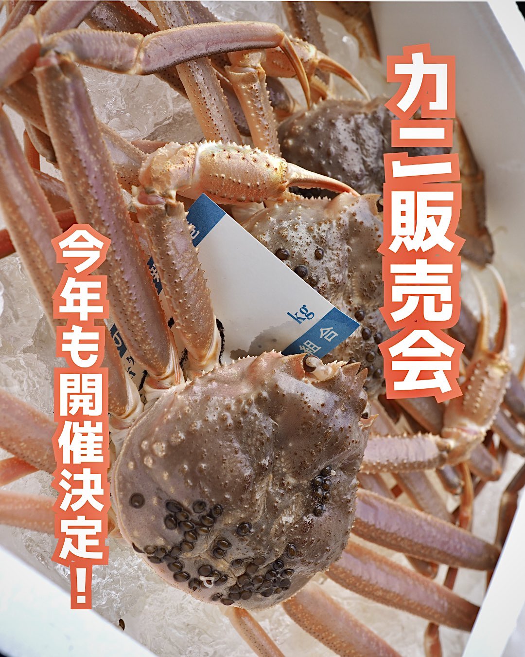 カニさん専用‼️ Amazon.co.jp: トレードマーク 陽気なカニさん ゼンマイ 日本製
