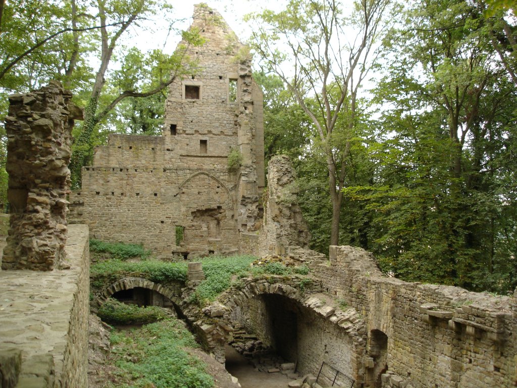 lorraineelizab6's tweet photo. 8 Sept: St Disibod (d. 700). Irish. 10 years in Frankish empire with Giswald, Clemens & Sallust; Vosges/Ardennes. Guided by dream, went to Rhineland-Palatinate, #Germany. After death monastery founded #Disibodenberg. Normans/Hungarians destroyed. St Hildegard of Bingen wrote Life https://t.co/CJsgxLg07T