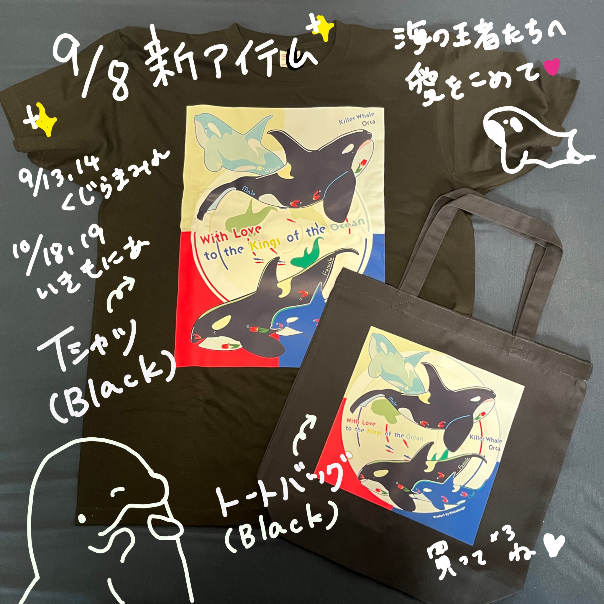 アイ🐬イルカちゃん→デザイナー＆海洋生物専門イラストレーター