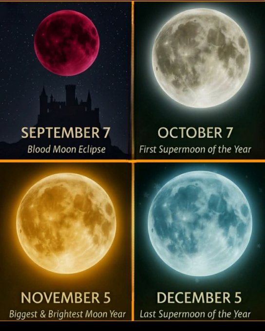 2025’s most mesmerizing lunar events 

🔴 September 7 – Blood Moon Eclipse
🌕 October 7 – First Supermoon of 2025
🌕💛 November 5 – The Year’s Biggest Moon
🌕❄️ December 4 – Last Supermoon of the Year
