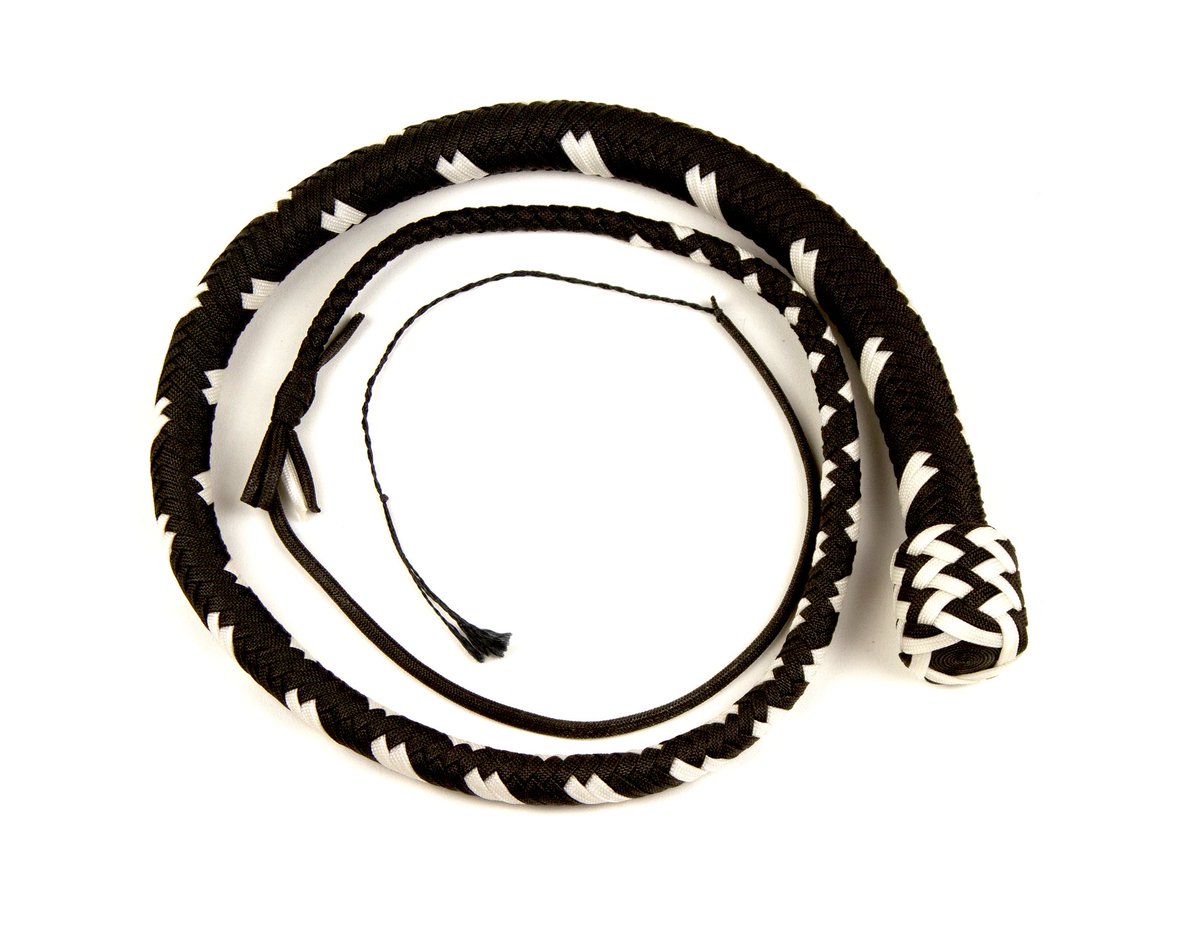 Alpine Impact tweet media