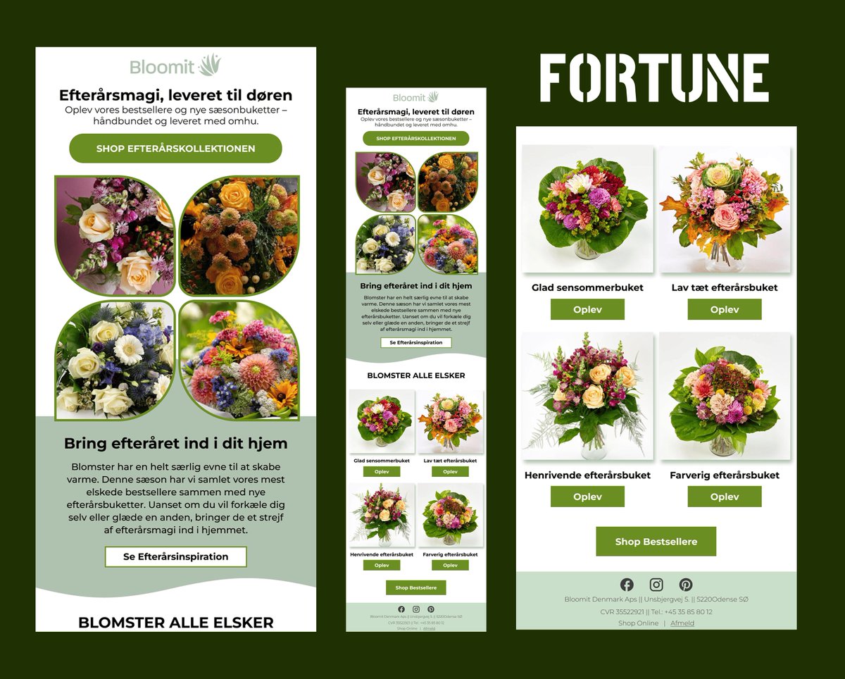 fortuneecom's tweet photo. What is the best kind of email in your opinion?
Text based email
OR
Design based email?

Btw, what do you think of this?
#emailmarketing #klaviyo #ecommerce https://t.co/uN9AuZ34hh