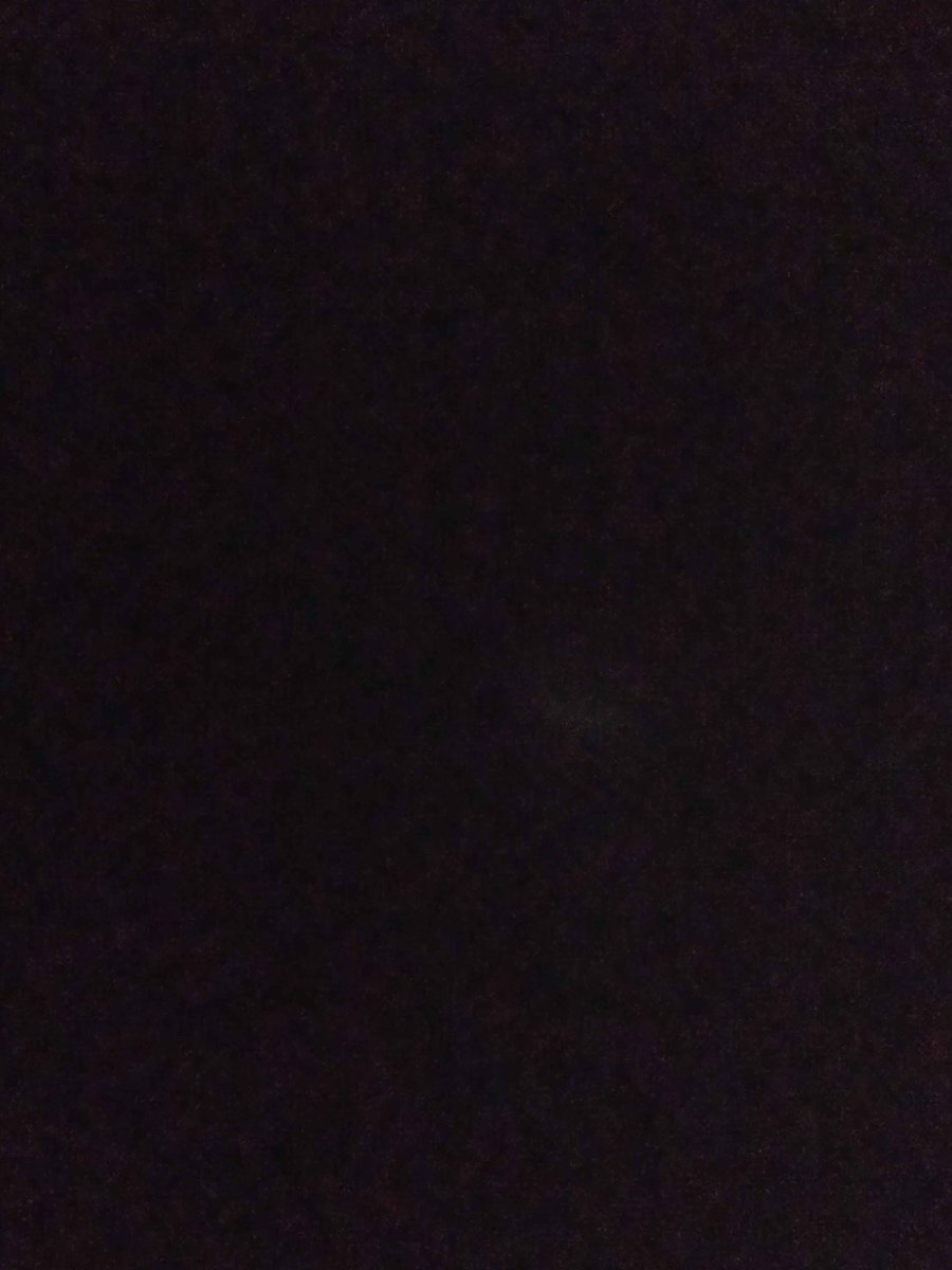 MaxDaProtogen's tweet image. 