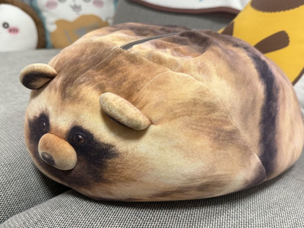 たぬきちページ たぬきち🦋🌈 on X