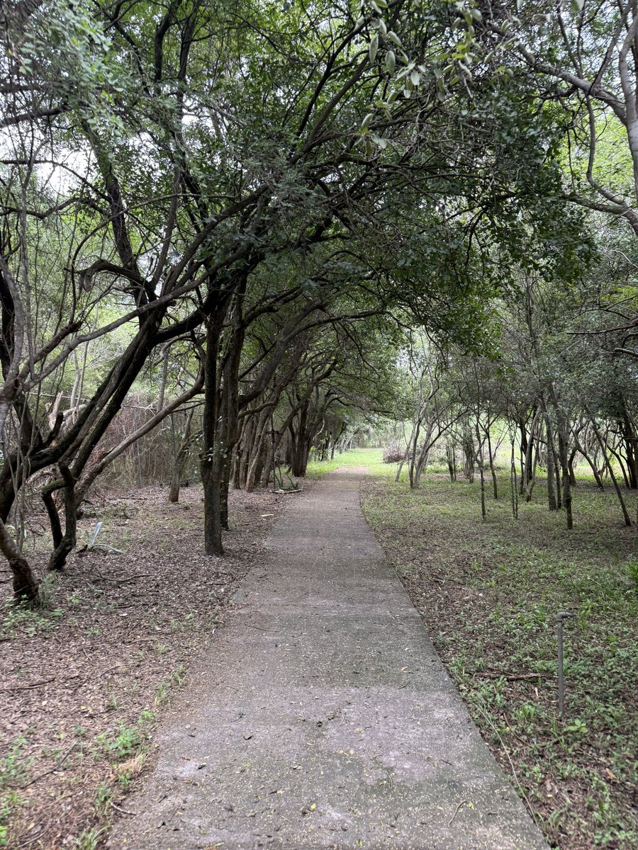 Más si recuerdo tus palabras, creo que tu amor es infinito y quiero regresar a ti como el ave vuelve al nido.
