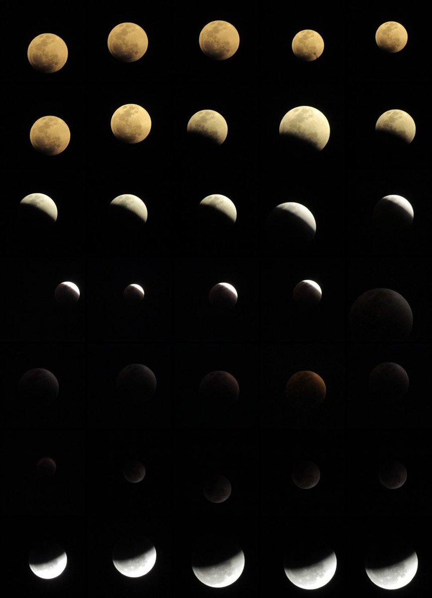 - The lunar eclipse was beautiful last night.