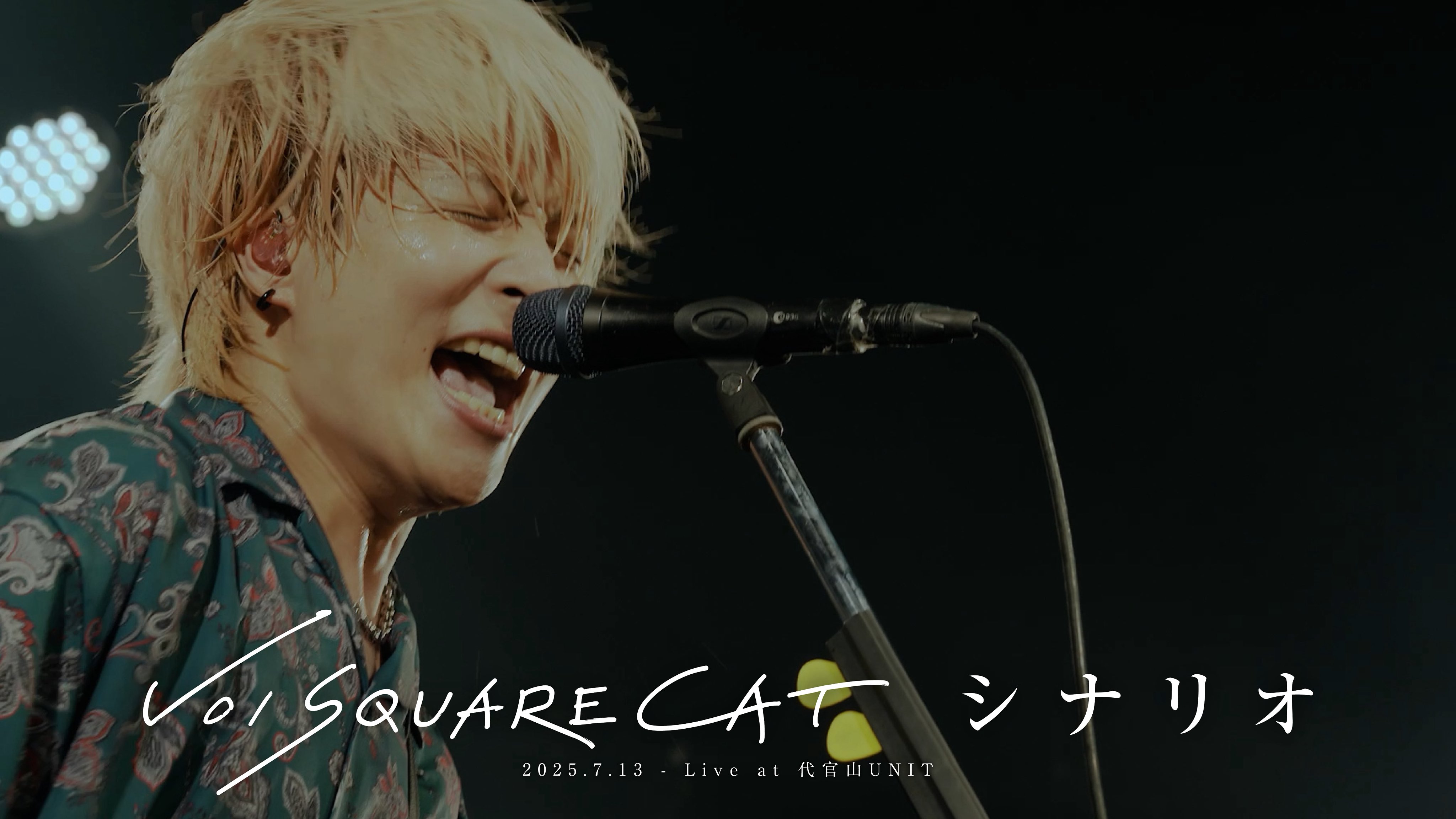 VOI SQUARE CAT (@VSC_official) / X