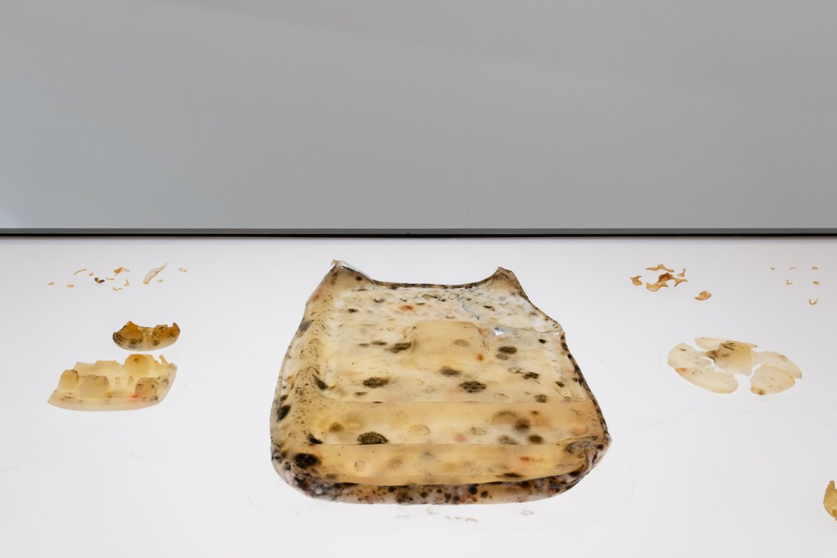 WilliamsRef's tweet image. Our Multideck took centre stage at Goldsmiths University’s graduate exhibition – not with food, but agar sculptures.. 🗿 A reminder that Williams isn’t just for kitchens, but for any space where style &amp;amp; reliability matter! 🔎 ow.ly/jsiz50WS10z
 #Multideck #ArtDisplay