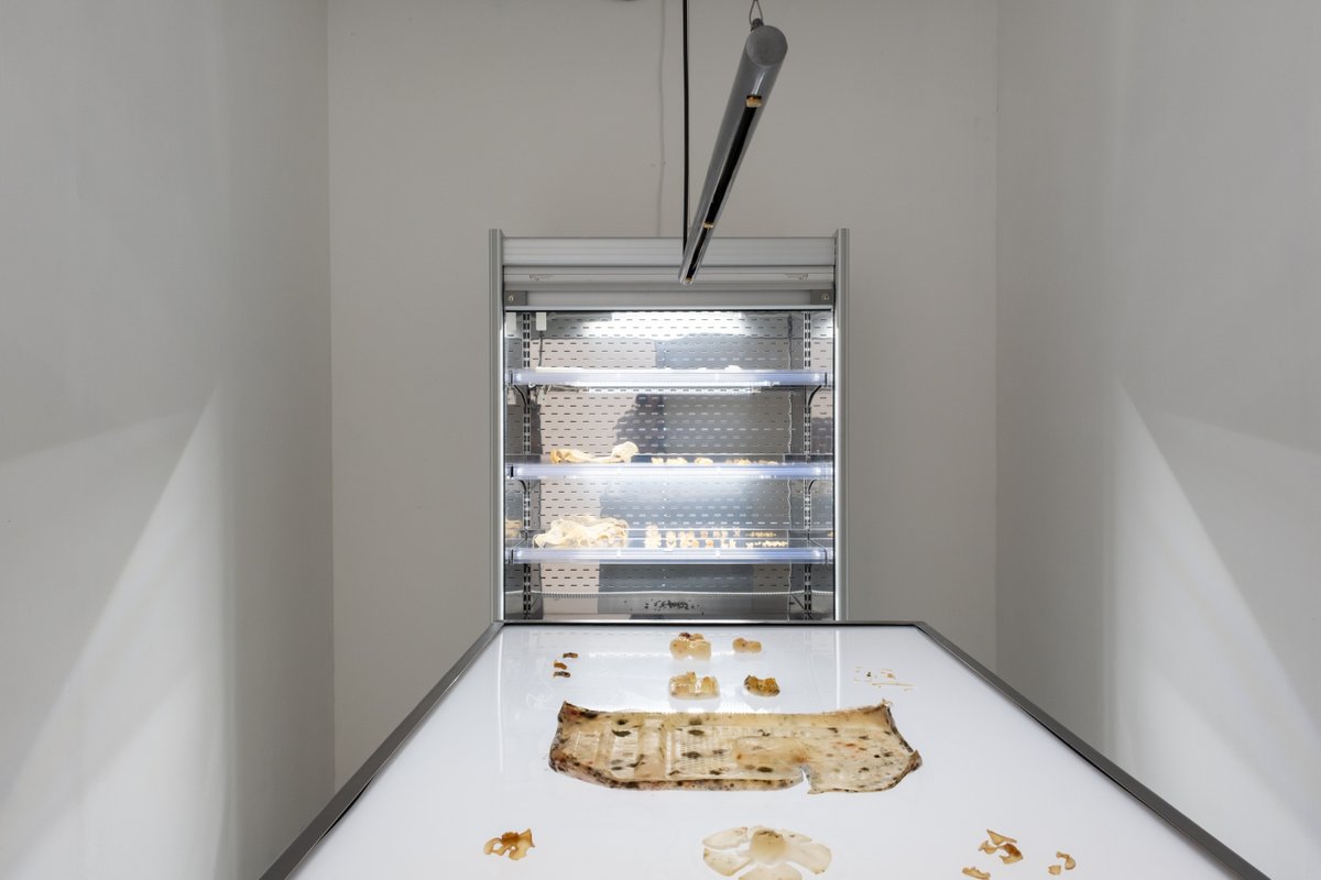 WilliamsRef's tweet image. Our Multideck took centre stage at Goldsmiths University’s graduate exhibition – not with food, but agar sculptures.. 🗿 A reminder that Williams isn’t just for kitchens, but for any space where style &amp;amp; reliability matter! 🔎 ow.ly/jsiz50WS10z
 #Multideck #ArtDisplay