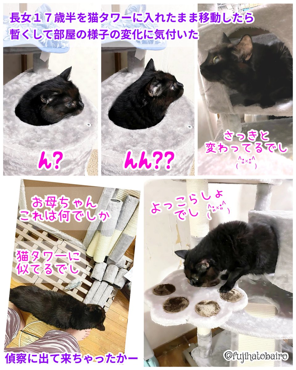 おいも 🍠 𖤣𖥧𖥣𖡡𖥧𖤣 ₍˄·͈༝·͈˄₎ on X: 