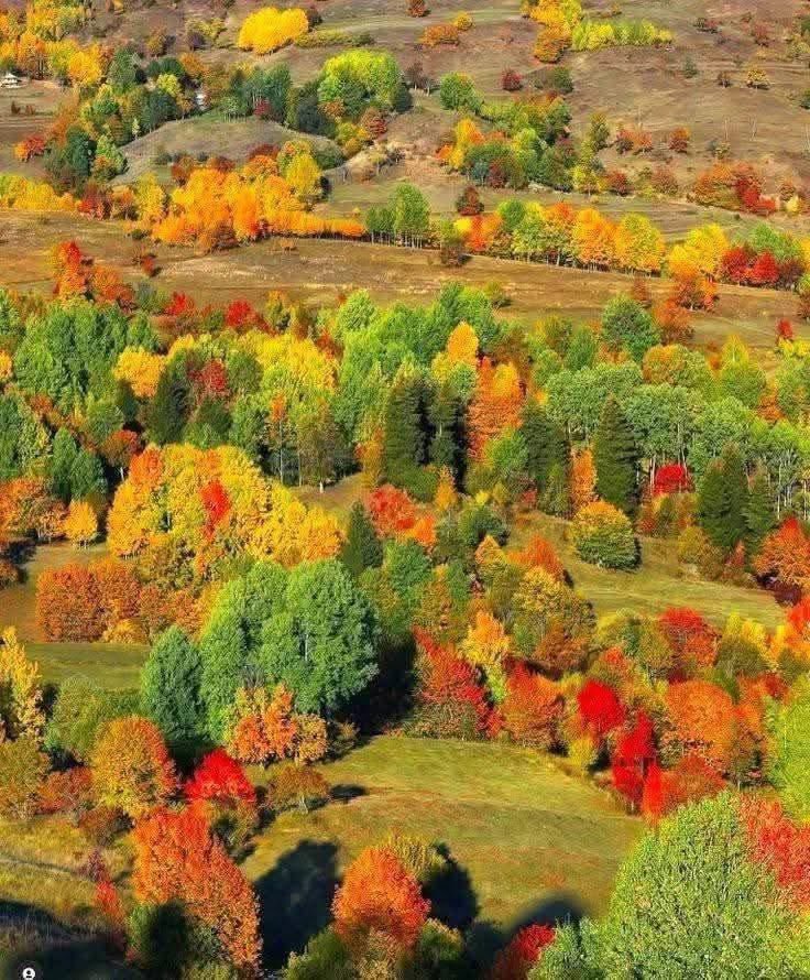 Lkhagva_1091's tweet photo. Намар бол УРЛАГ юм 🍁🍁🍁~  🌅 https://t.co/i4WYJjeICR