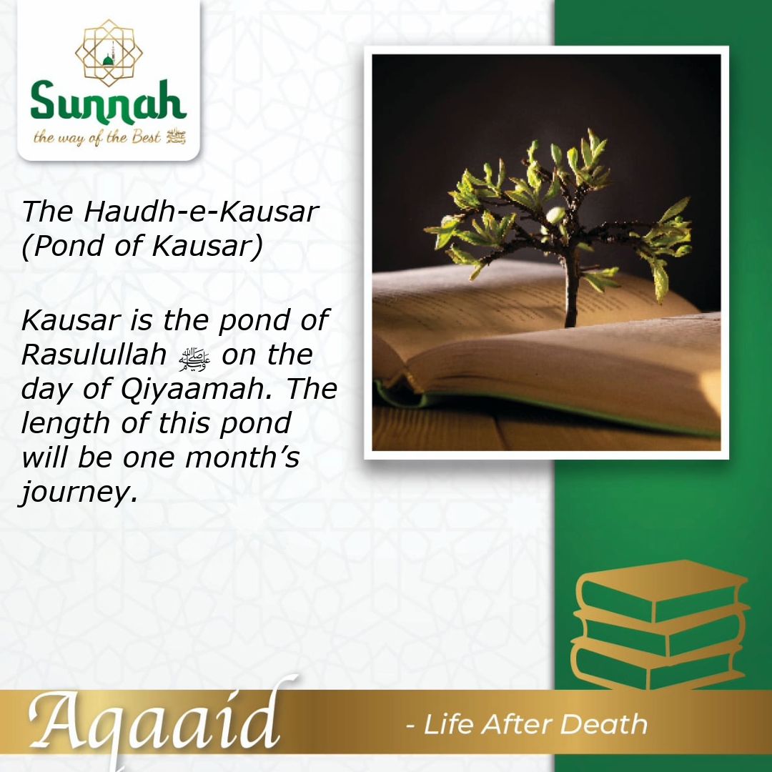 TheWayOfTheBest's tweet photo. #aqaaid #Islam #Qiyamah #pondofkauthar #judgement #judgementday #nabimuhammad #lifeafterdeath https://t.co/GwtB5E6rk0