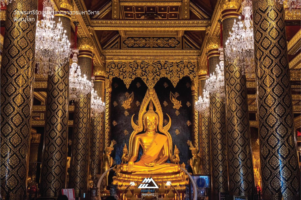 Perfect_Phetchabun tweet media