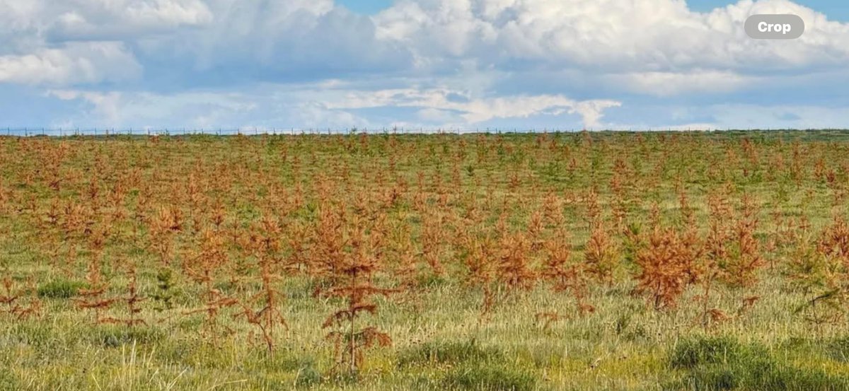 Энииг тариулсан еөк хариуцлагаа хүлээнэ үү
