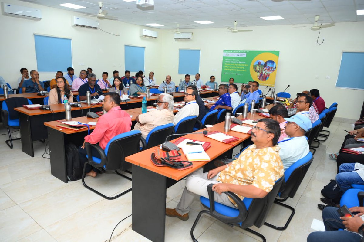 PratheepaCM's tweet image. The #DiversifarmIndia project debriefing seminar is underway at the Odisha state level with 30+ stakeholders! Focus: What drives success in community seed banks? Insights from field visits (Aug 22–Sep 5) now being shared with central stakeholders. 🌾🌱 #Agrobiodiversity #Odisha