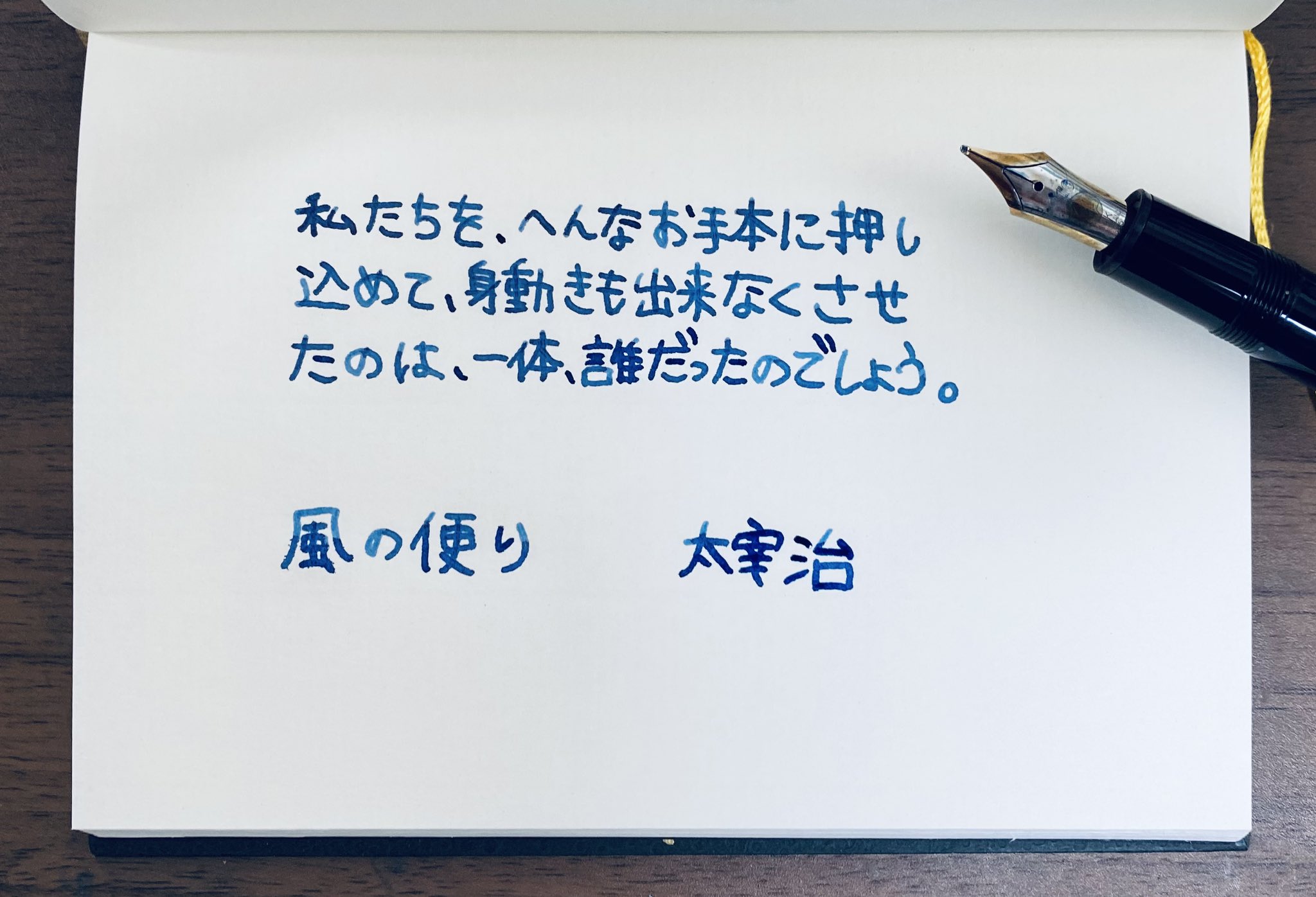 はくとん様❤️おまとめ専用ページです。10/14まで♡ mofusand mofamofy(はちにゃん) | mofusandもふもふマーケット