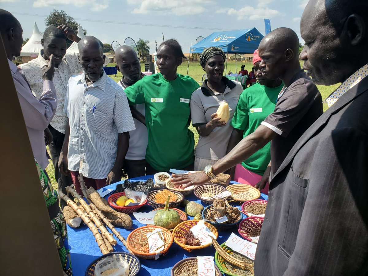 It was indeed exciting for the community in Amolatar District to engage with some indigenous seeds/foods that they had not seen in a long time. Thank you FAPAD, for organising the 2nd Indigenous Seed and Food Fair.

#KeepYourLandKeepYourSeed