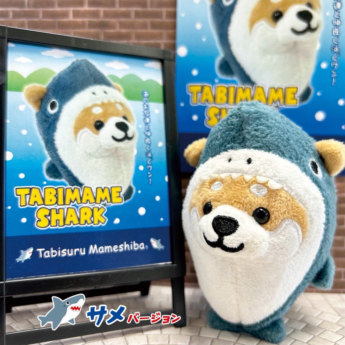NEW／ 旅するマメしば🦈サメバージョン ⁡ かっこいいサメに変身したよ