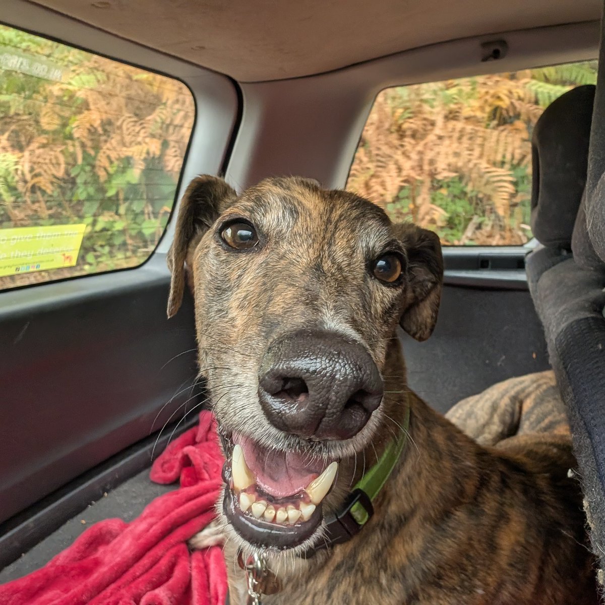 Ziggy Zeus tweet media