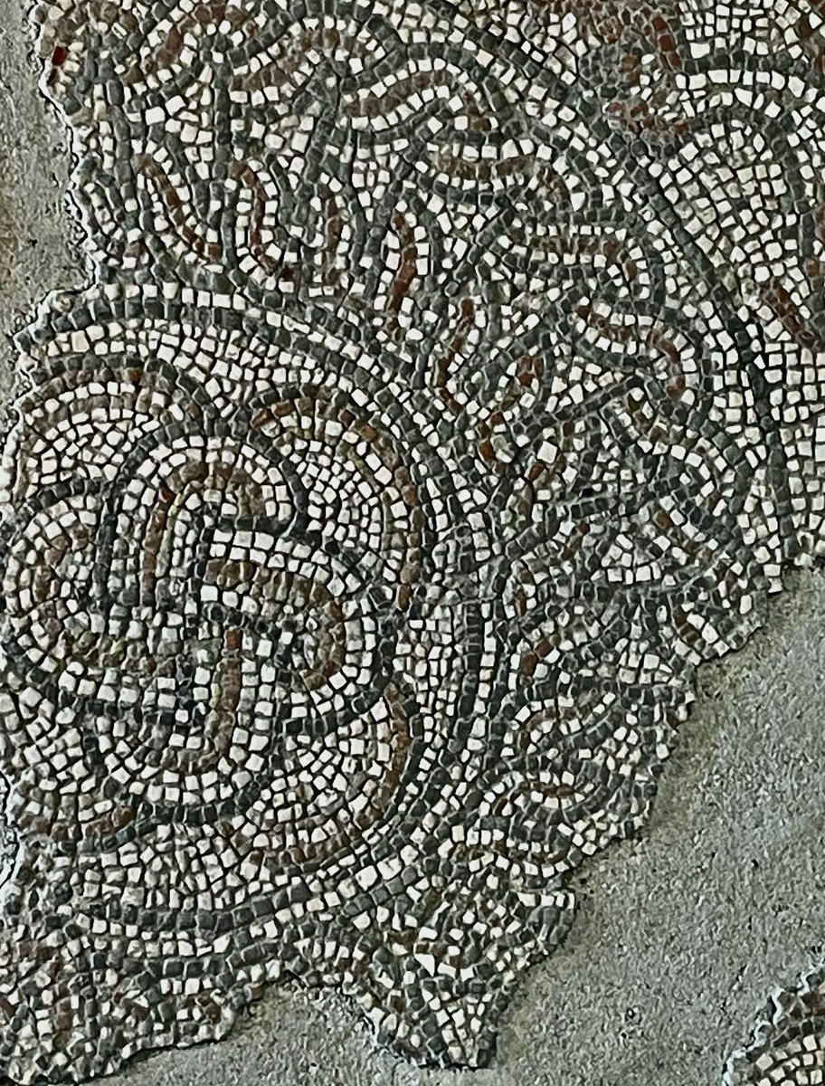 Part of the ‘Knot Mosaic’ from Fishbourne Roman Palace in East Sussex. The polychrome mosaic dates the the third century AD. 📸 My own. #MosaicMonday #RomanBritain #Fishbourne