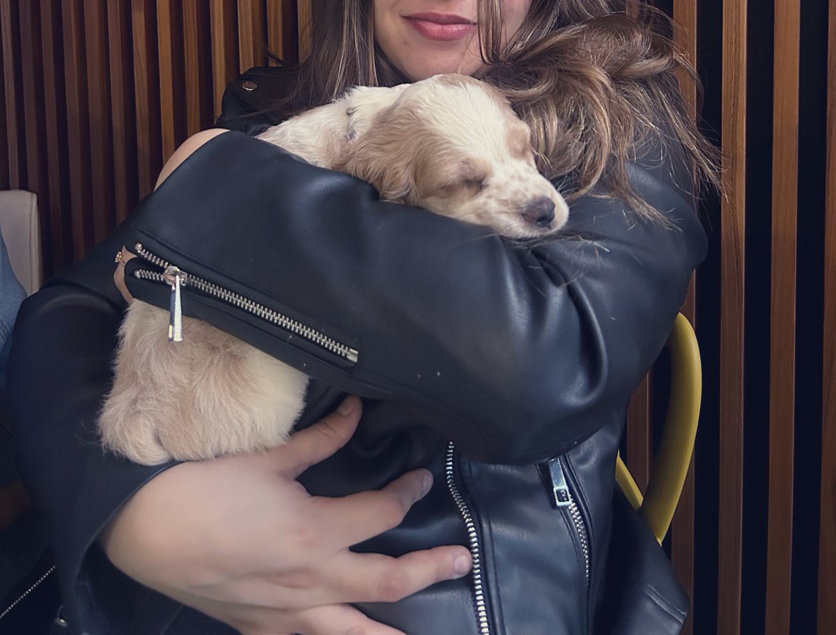 Meelodiosa's tweet photo. https://t.co/J5KMrKWuyn