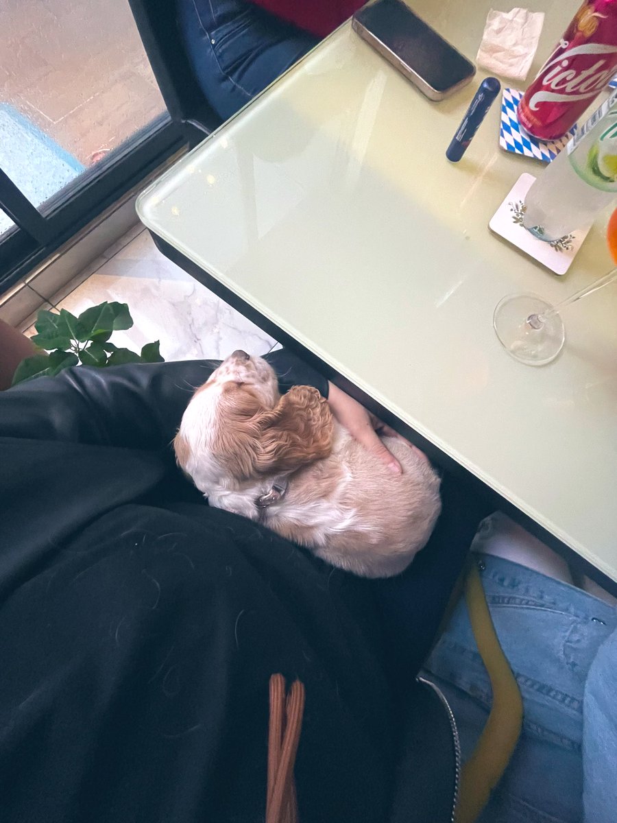 Meelodiosa's tweet photo. https://t.co/J5KMrKWuyn