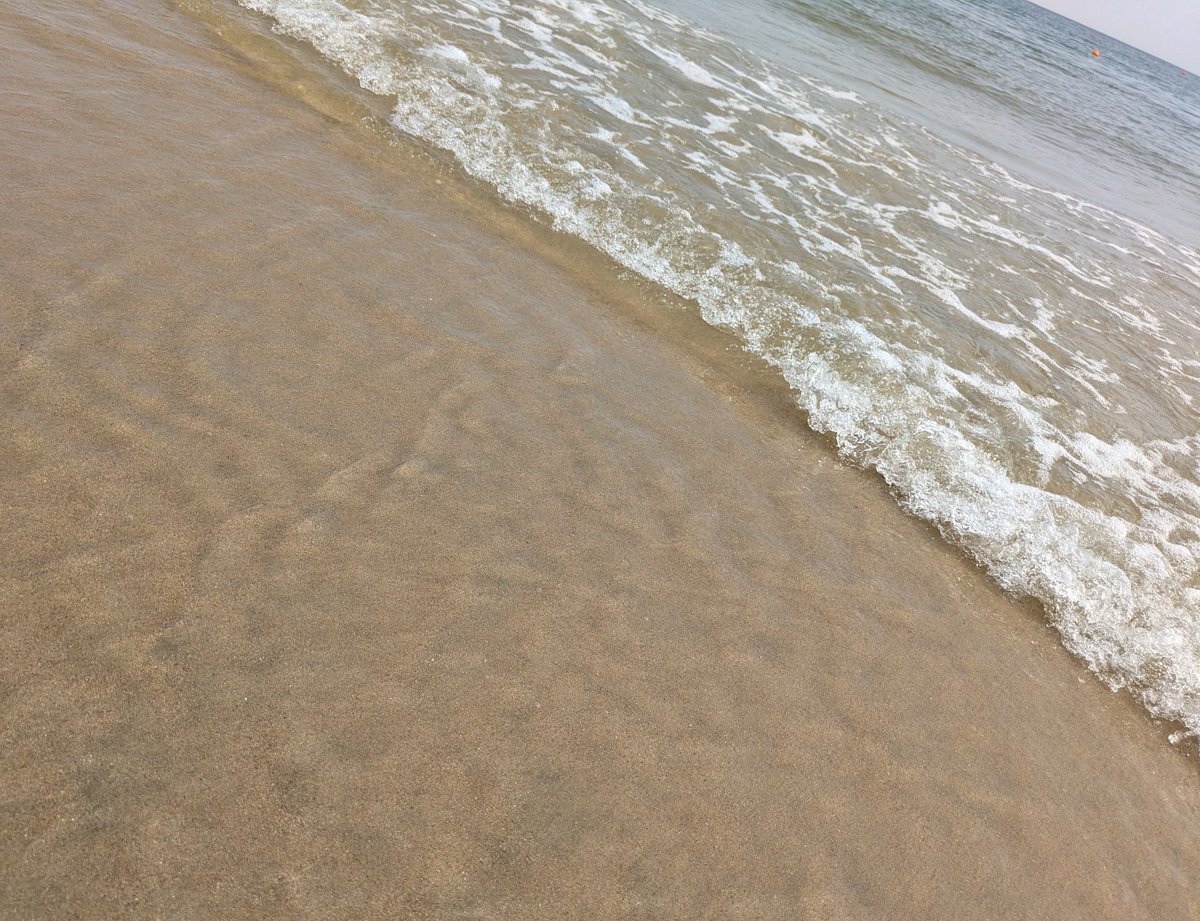 海でもヲタク🫶