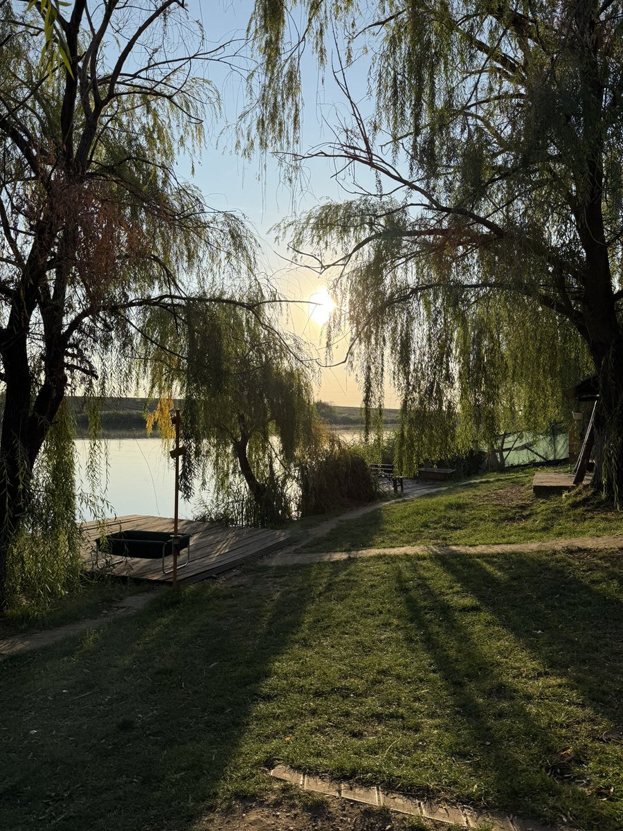 BLMihnea tweet media