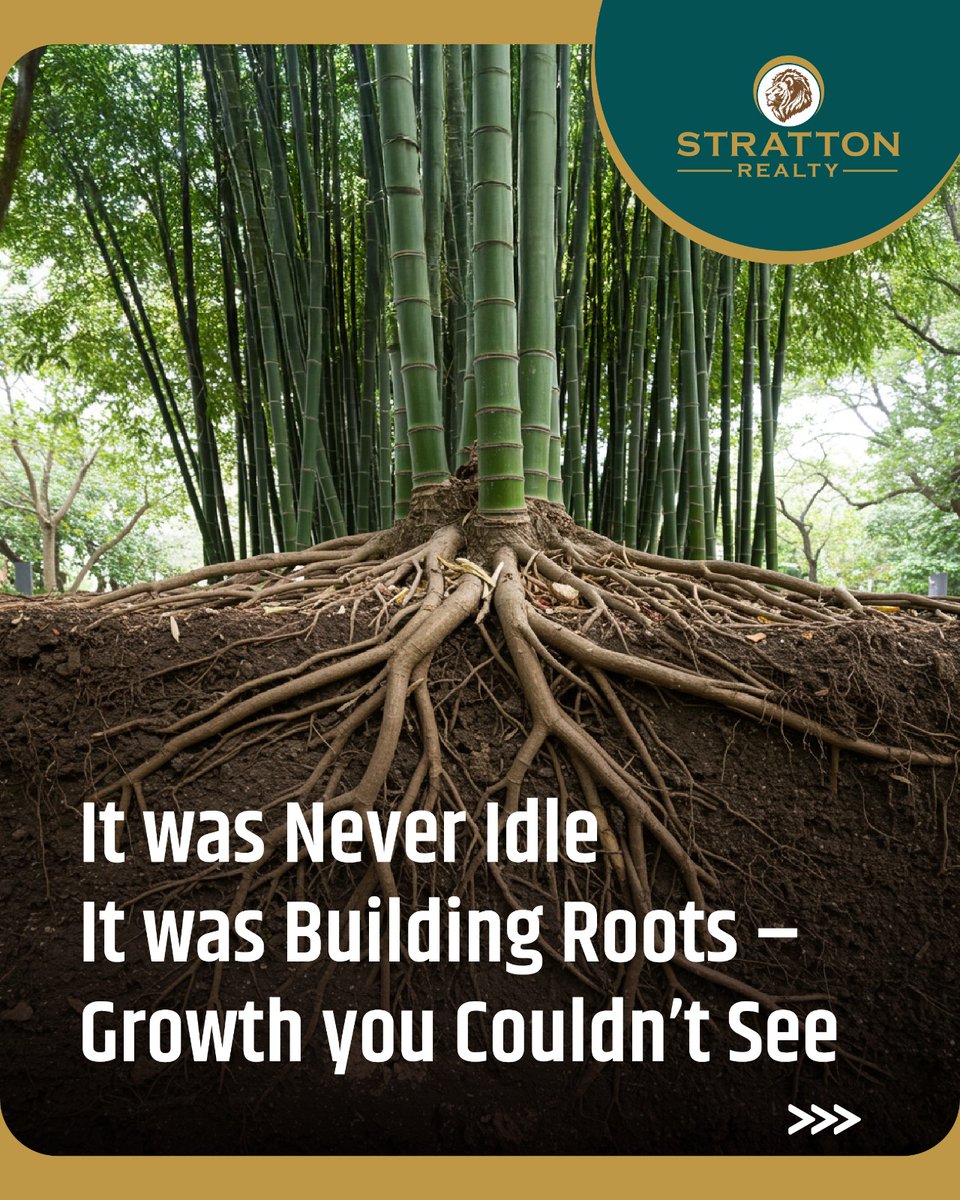 _strattonrealty's tweet photo. Success is like a bamboo tree.
For years, it shows nothing… but beneath the surface, roots are growing strong. When the time is right, growth is unstoppable. Stay patient. Stay consistent 🚀
#MotivationalQuotes #Motivation #SuccessMindset #Growth #StrattonRealty #Strattonites https://t.co/YaBz9CGp9i