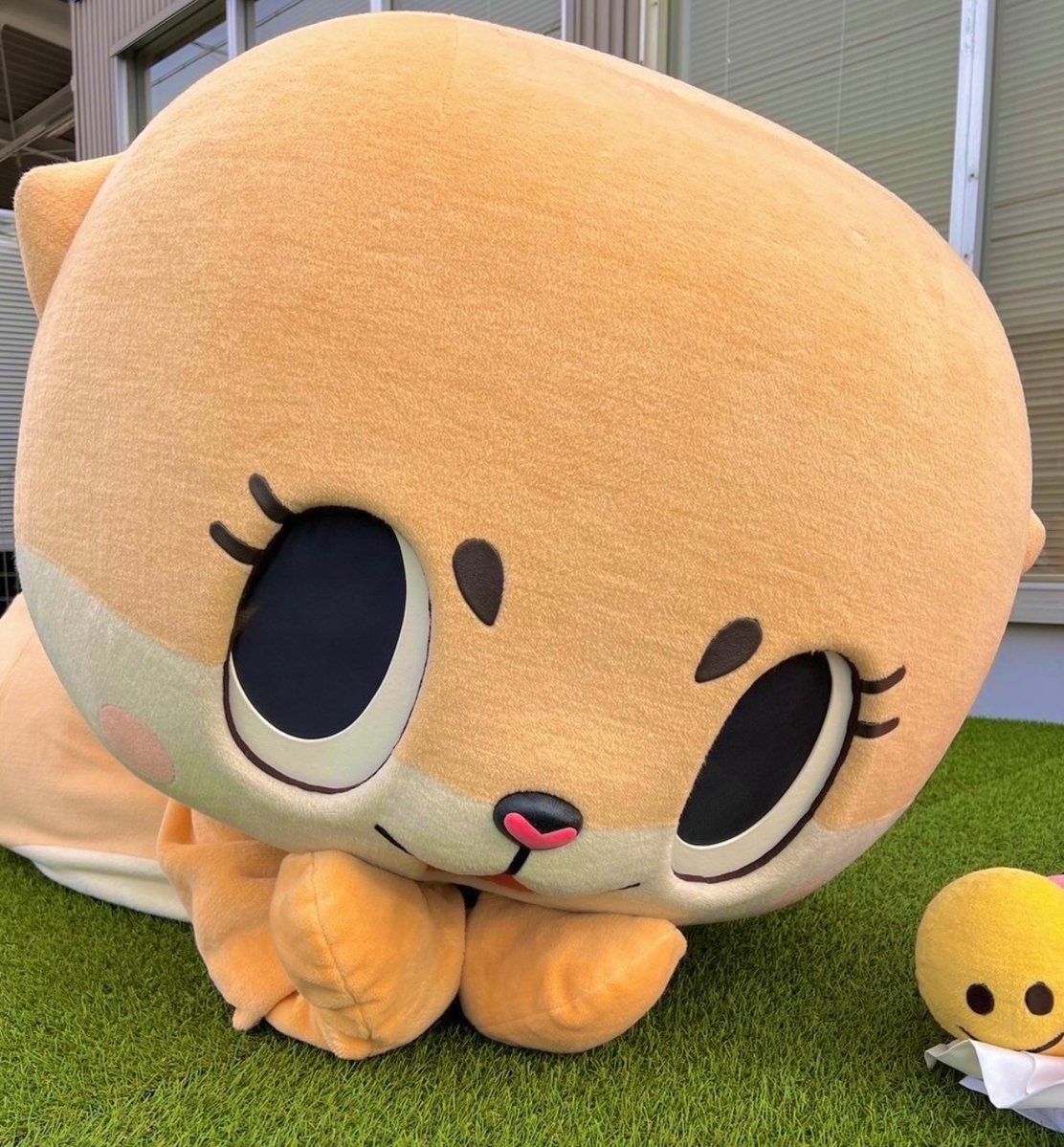 公式:ちぃたん☆名古屋 (@chiitannagoya) on Twitter photo 皆既月食は見ましたか?
見逃した人はちぃ☆ムーンをどうぞ🌕✨
total lunar eclipse 皆既月食は見ましたか?
見逃した人はちぃ☆ムーンをどうぞ🌕✨
total lunar eclipse