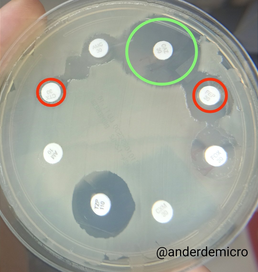 Ander González-Sarría tweet media