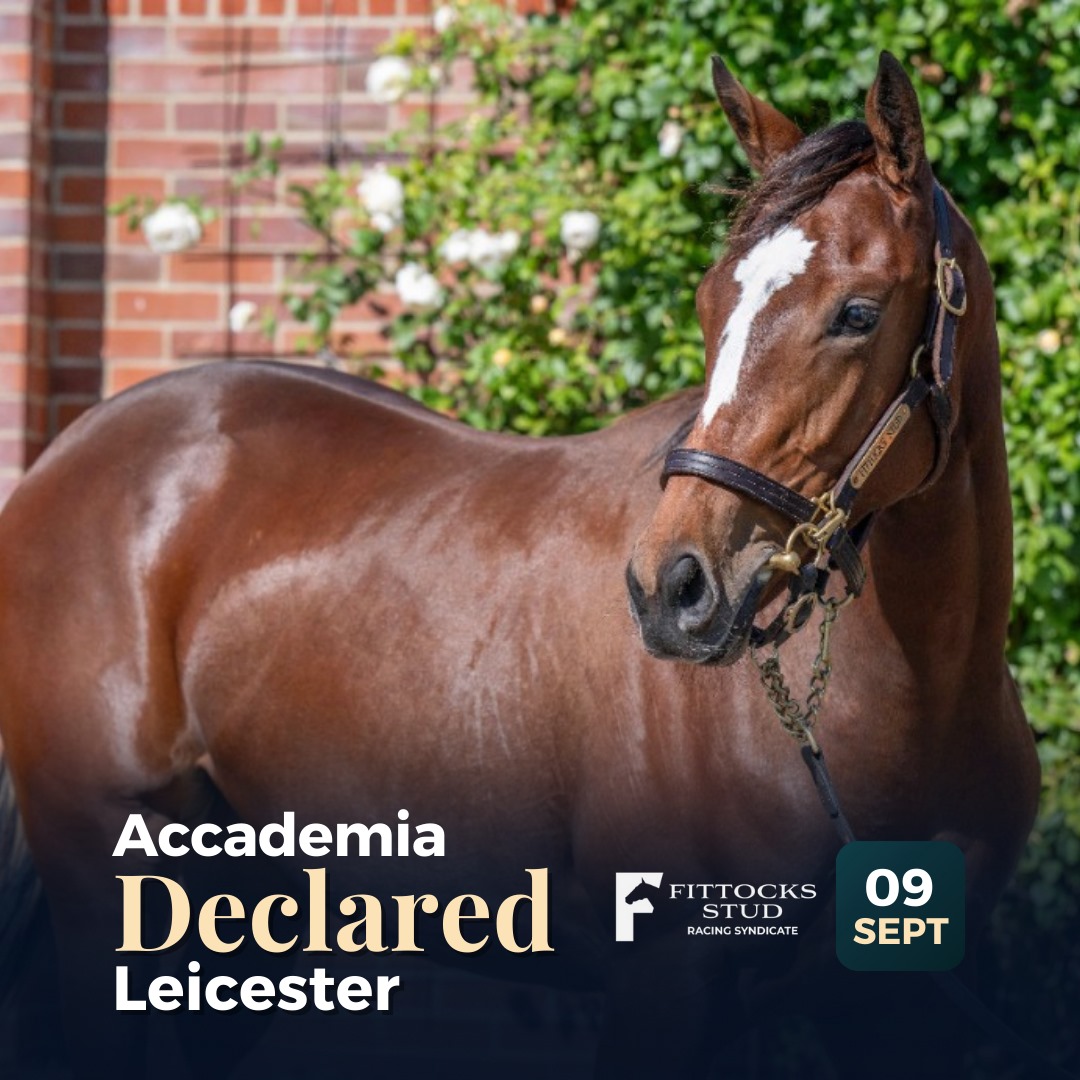 ACCADEMIA HAS HER FIRST DECLARATION!

Our <a href="/fittocksstud/">fittocksstud</a> Racing Syndicate filly will run at <a href="/LeicesterRaces/">Leicester Racecourse</a> on September 9th in the 14:50 Gascare Services EBF Fillies' Novice Stakes over 7f.

Kieran Shoemark will be onboard.